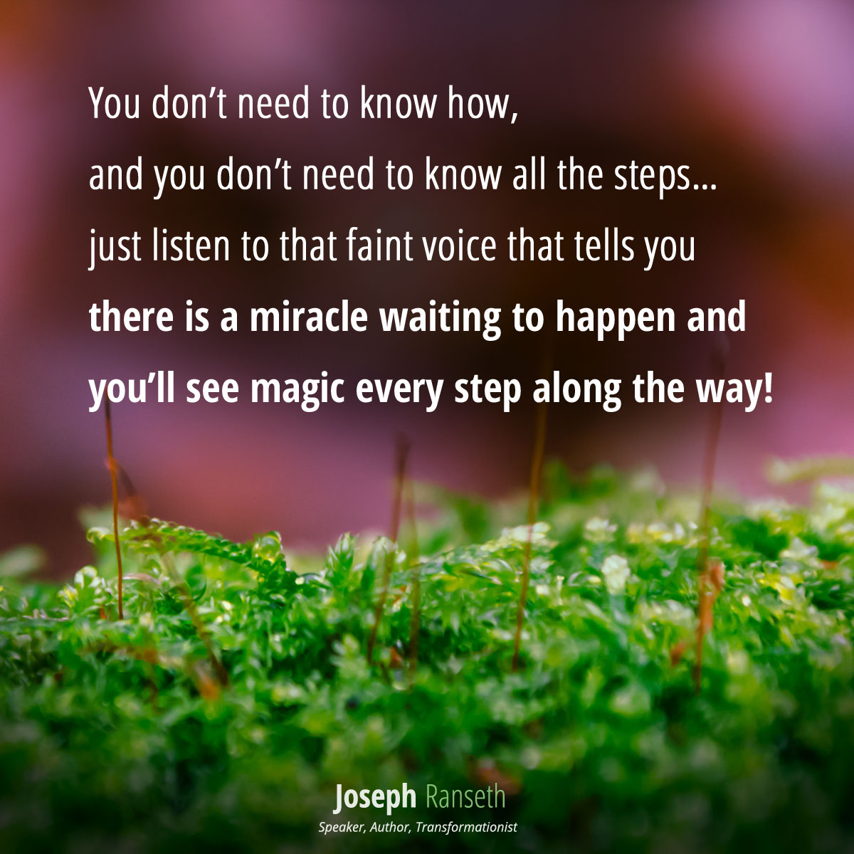 You don’t need to know how, and you don’t need to know all the steps… just listen to that faint voice that tells you there is a miracle waiting to happen and you’ll see magic every step along the way!