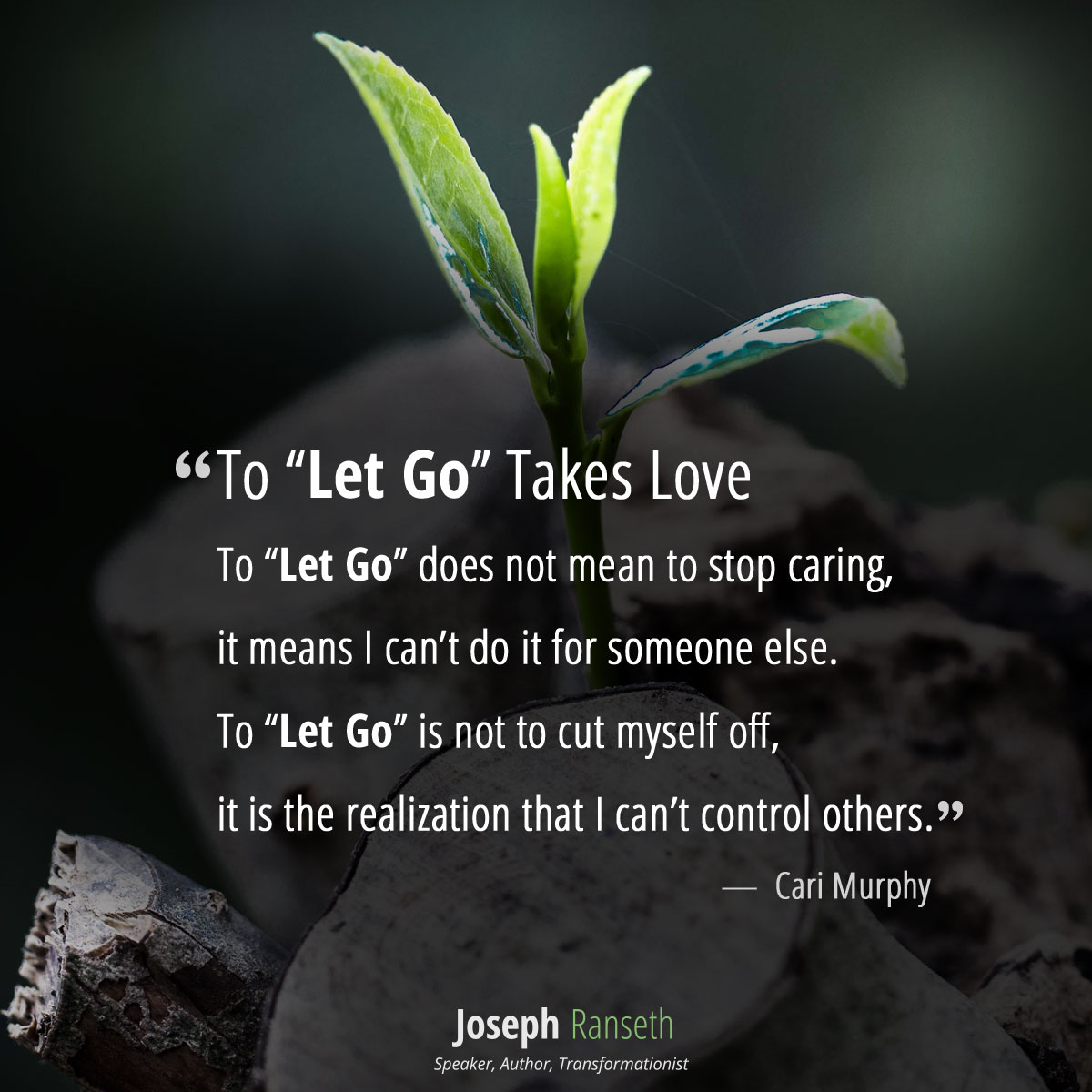 To “Let Go” Takes Love To “Let Go” does not mean to stop caring,  it means I can’t do it for someone else. To “Let Go” is not to cut myself off,  it is the realization that I can’t control others.