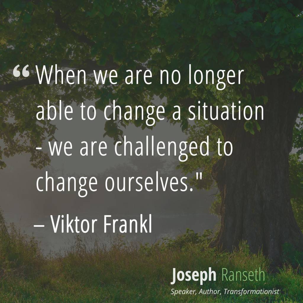 When-we-are-no-longer-able-to-change-a-situation-we-are-challenged-to ...