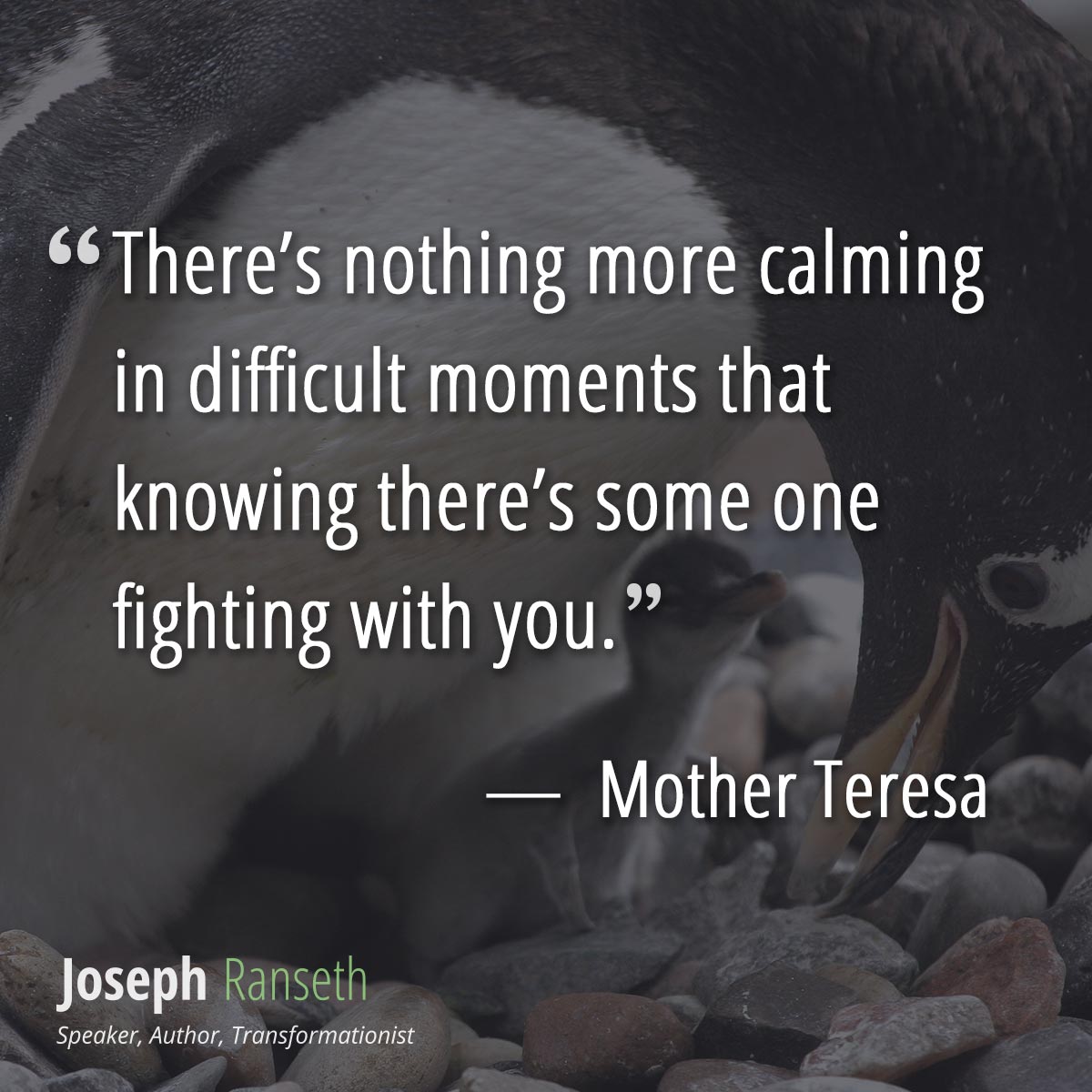 mother teresa death quotes